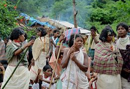 Sani Election in Niyamgiri