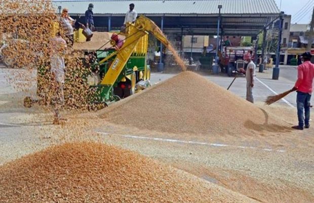 India Restriction Wheat Export