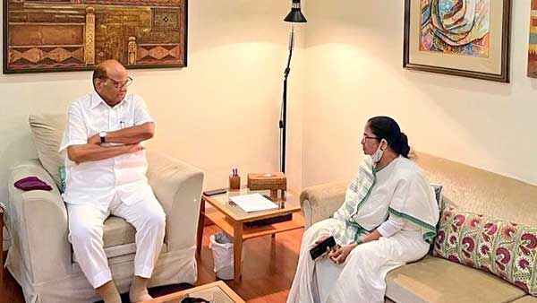 Mamata Banarjee Meet Sharad Pawar