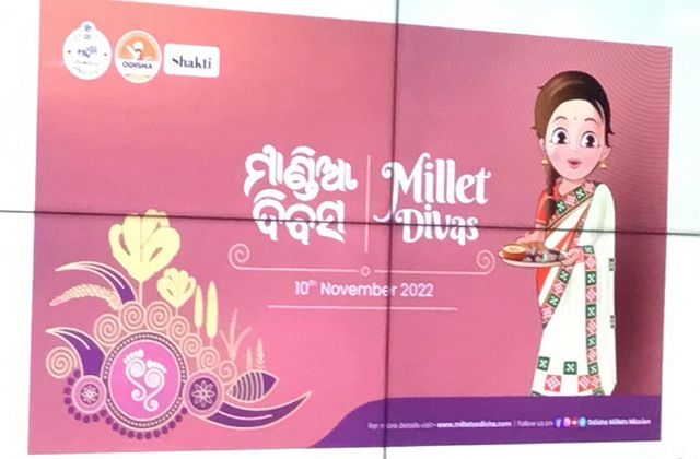 Millet Divas Official Mascot Milli