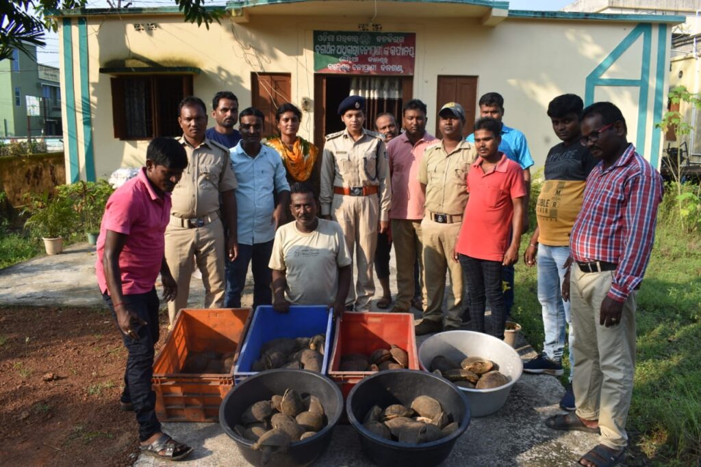 Turtles Rescued & Traffickers Arrested