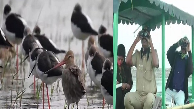 Chilika Bird Count