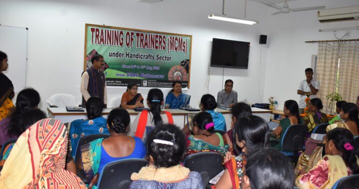 Handicraft Trainers Training Program