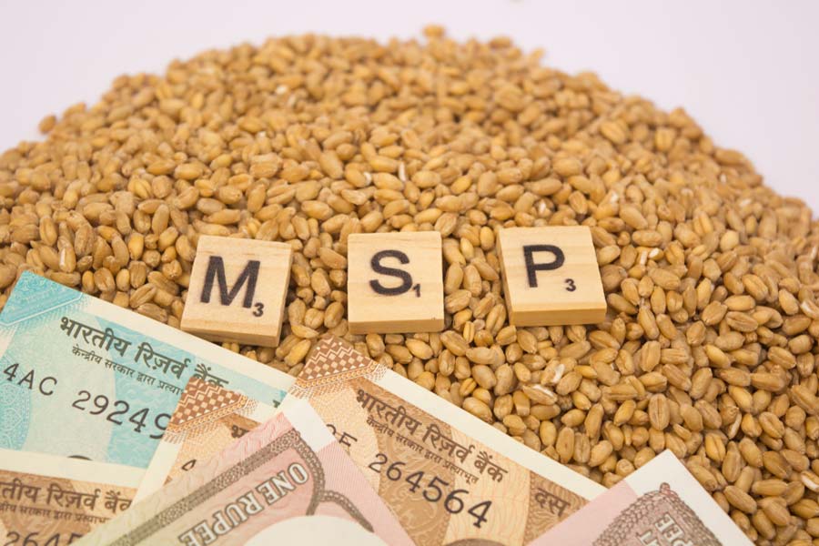 Cabinet Approves Increase MSP of Kharif Crops