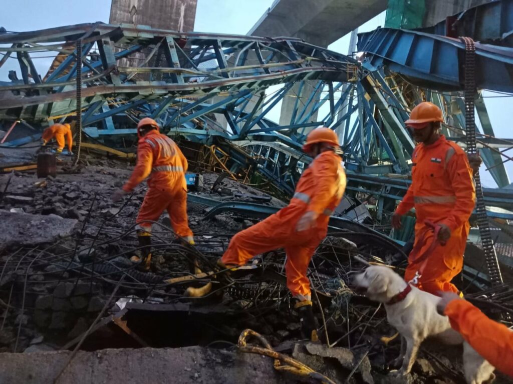 Crane engaged in the express highway work collapses